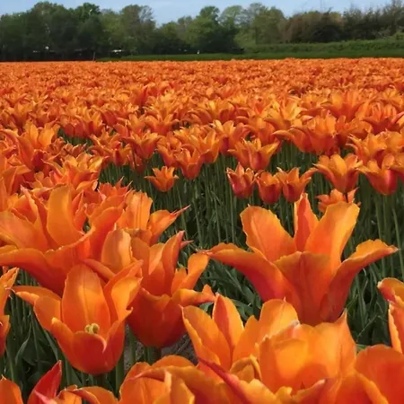 Beautiful Group Loft With Sauna Near The *