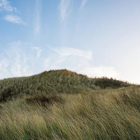 Beautiful Group Loft With Sauna Near The * Julianadorp