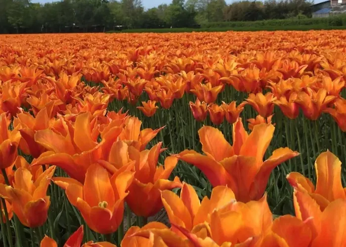 Beautiful Group Loft With Sauna Near The *