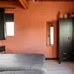 Beautiful Group Loft With Sauna Near The * Julianadorp