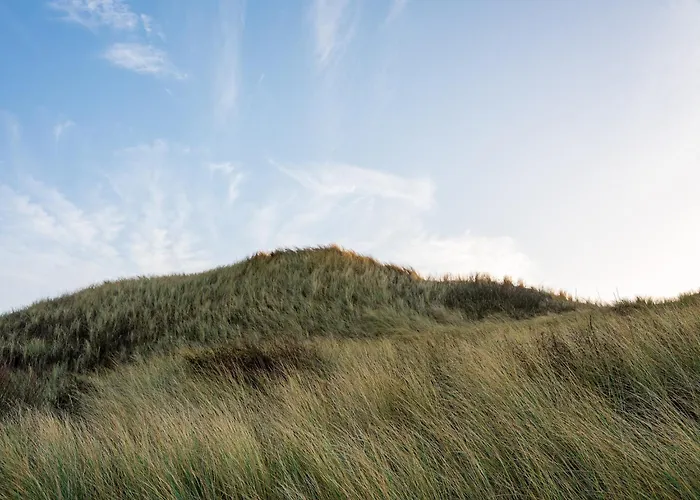 Beautiful Group Loft With Sauna Near The * Julianadorp